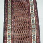 954 5491 ORIENTAL RUG